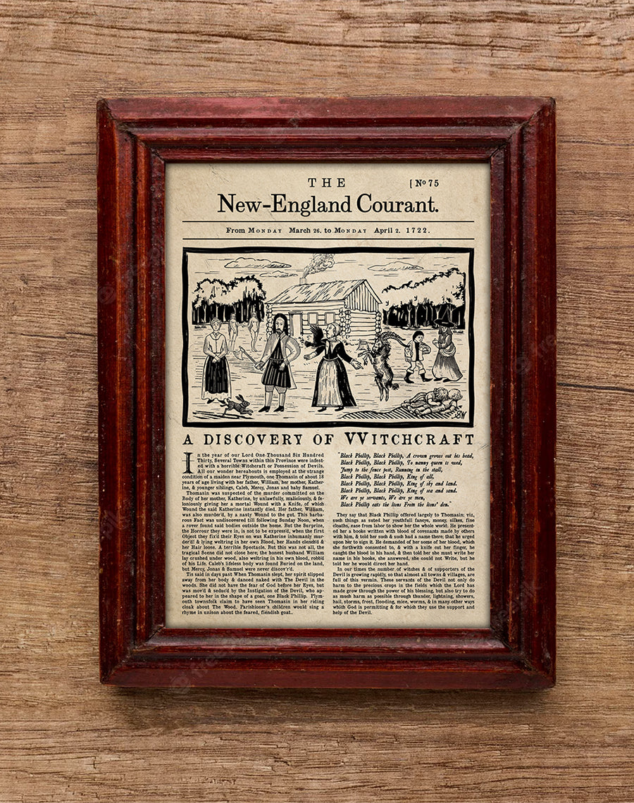 The Witch 2015 Newspaper poster print