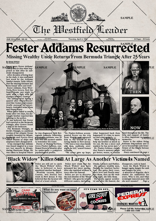 The Addams Family 1991 Movie Newspaper Poster Print