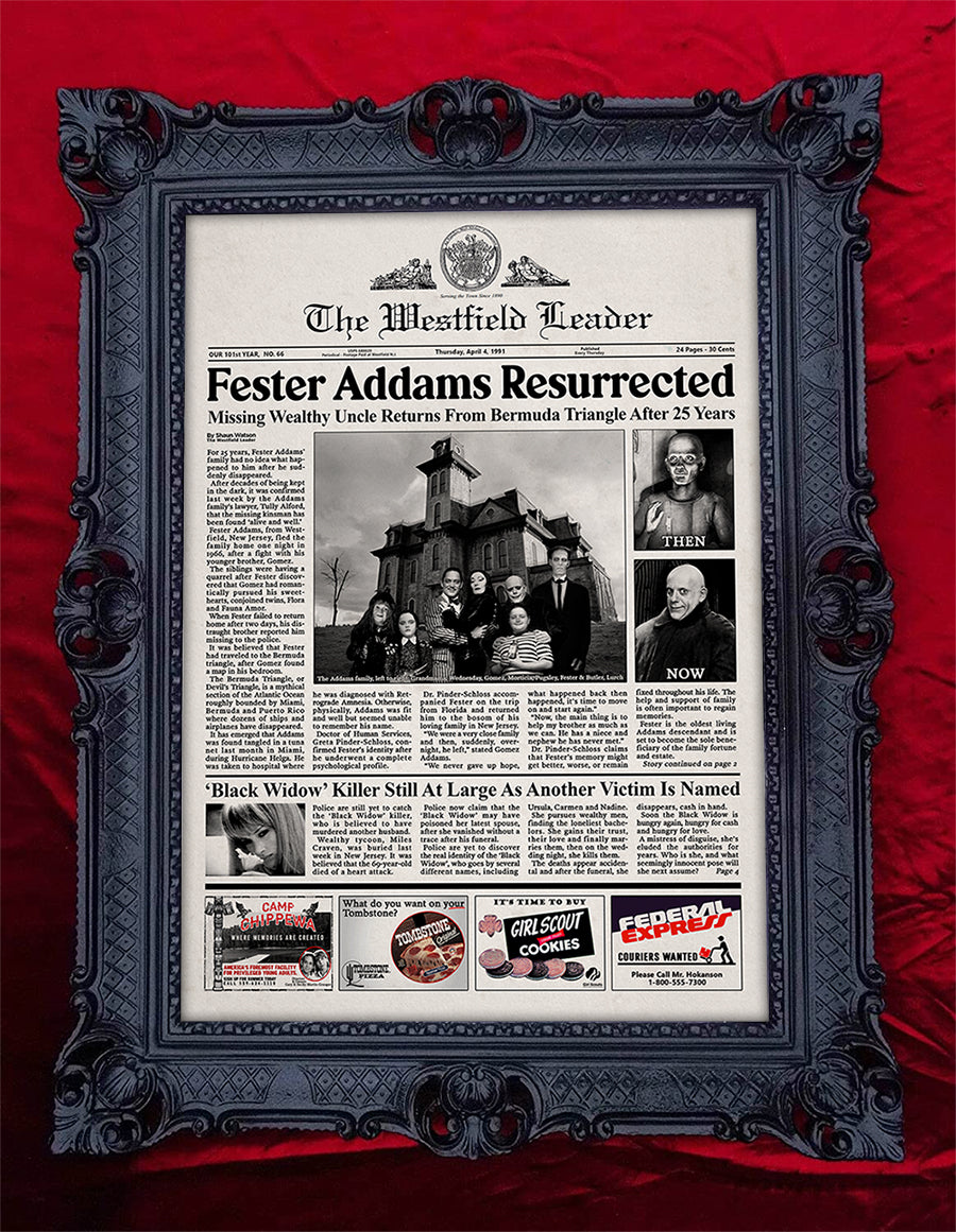 The Addams Family 1991 Movie Newspaper Poster Print