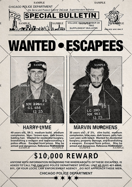 Home Alone 2 Wet Bandits Wanted Poster print